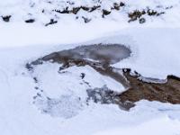 Herzförmige Eisschicht im Schnee am Lochgrabenbach in Aschau